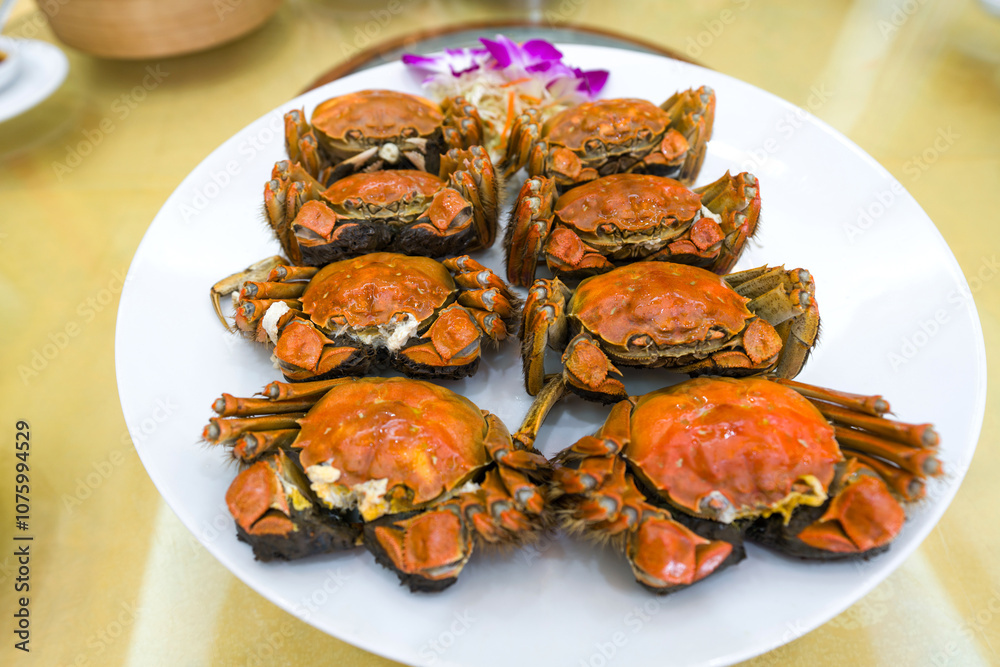 Chinese mitten crab is an important part of Shanghai cuisine, steamed male and female crab served on white plate in the restaurant. The Hairy Crab Festival is held once a year from October to December Chinese mitten crab is an important part of Shanghai cuisine, steamed male and female crab served on white plate in the restaurant. The Hairy Crab Festival is held once a year from October to December