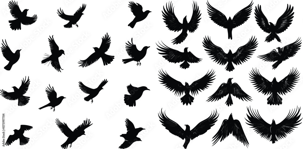 Fototapeta premium Vector Silhouettes of Birds in Flight , Set of Bird Silhouettes in Black Vector,Silhouettes Vector Collection