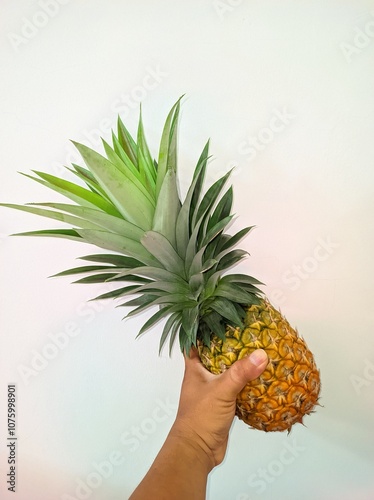 young man holding orange pineapple on white background