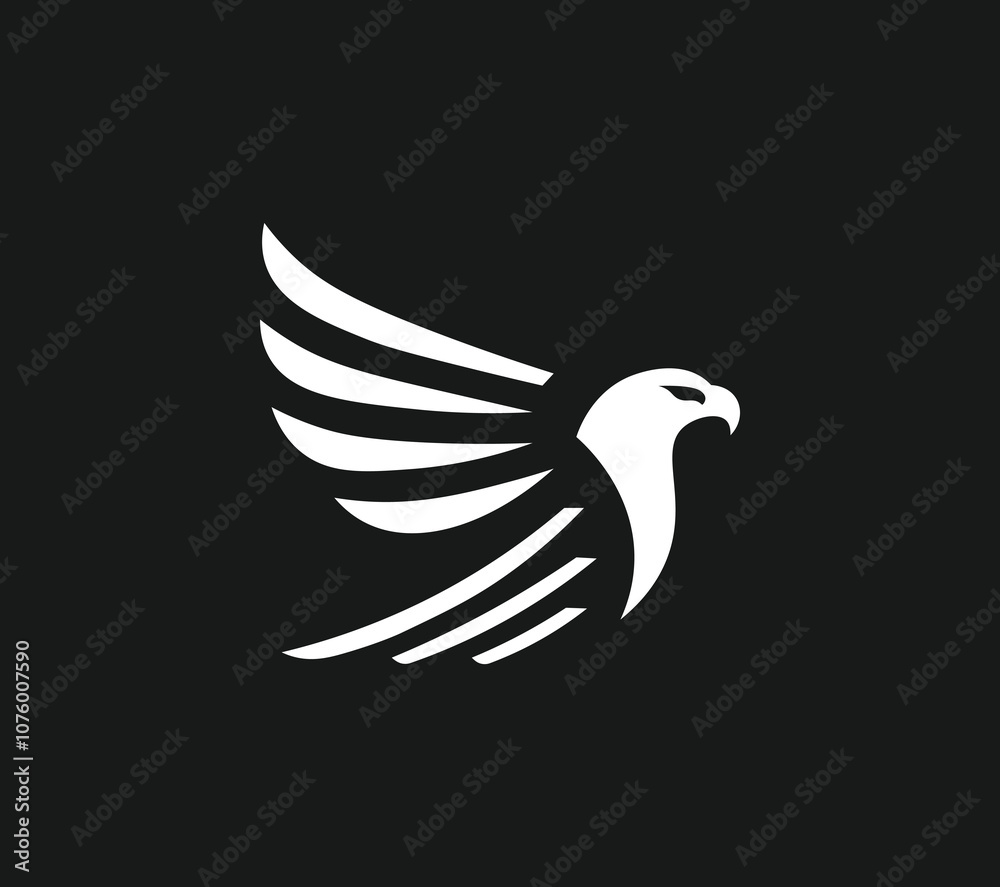 Fototapeta premium eagle 