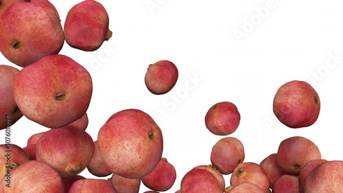 Full frame of falling fresh pomegranate fruits on white background. 3d rendering animation. Luma Matte included.
