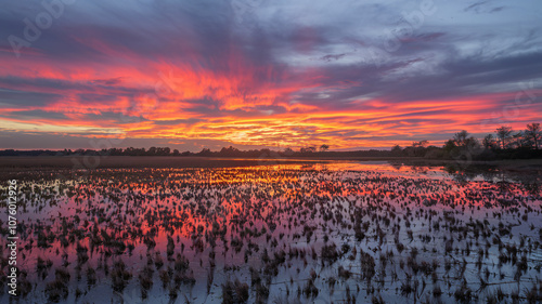 Spectacular Sunset Over Flooded Marsh with Fiery Red Sky