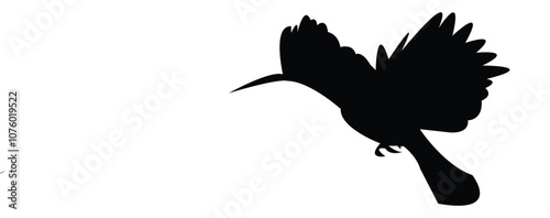 Eurasian Hoopoe Bird Silhouette And Vector Illustration. 
