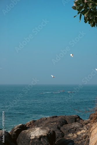 seagull flying and group of fisherman fishing 