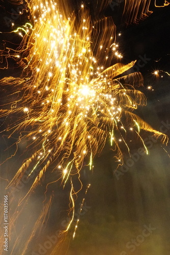 Beautiful fireworks over a dark-sky