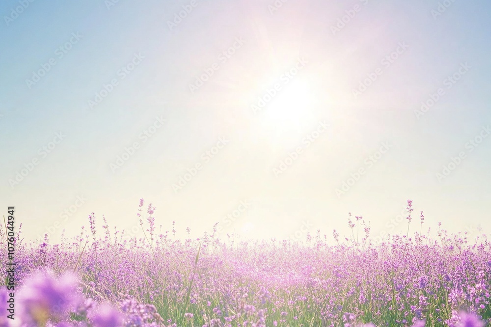 Naklejka premium Field of purple flowers with bright sun in the background. The scene is peaceful and serene, background for design works. Spring joyful background.