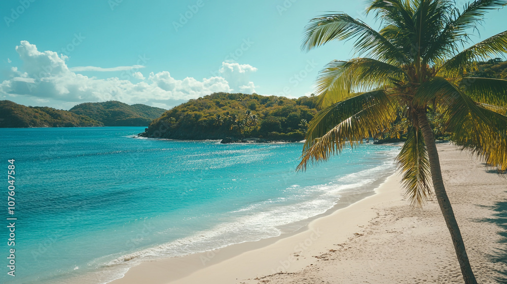 Obraz premium Tranquil tropical beach with palm trees and clear blue water on a sunny day
