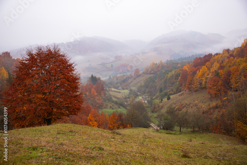 Autumn landscape with colorful trees