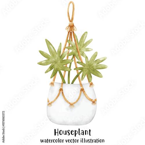 Plant, Hanging plant, hanging house plant pot. Home interior flowerpots. Indoor various macrame houseplants. Home office garden hanging plants.