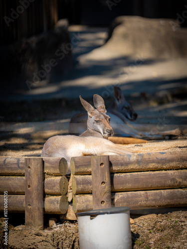 Seoul Children's Grand Park photo