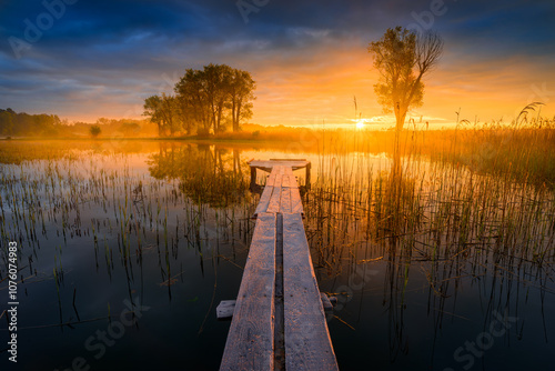Fototapeta Naklejka Na Ścianę i Meble -  Colorful sunrise over the lake