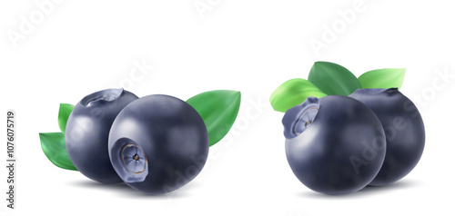 Blueberries set isolated on white background. Vector realistic illustration of fresh berries with green leaves, fruit dessert, ice cream, yogurt ingredient, ripe harvest at organic farm, natural food