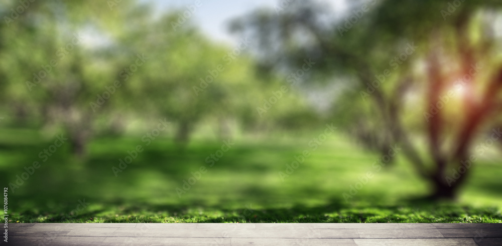 Park forest ecology background Park forest ecology background