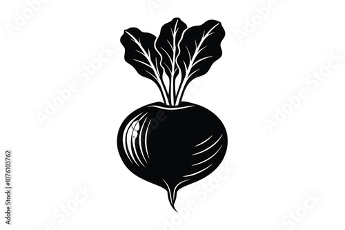 beetroot silhouette vector white background