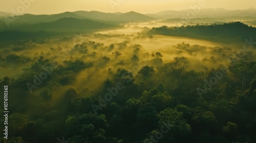 Serene Foggy Landscape Over Lush Green Forests