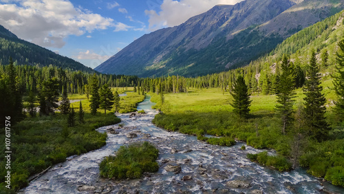 Canvas Print the winding mountain river Multa in the Altai mountains in summer