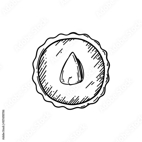 Сhocolate candy with pistachio. Vector illustration isolated on white background. Black and white sketched style.