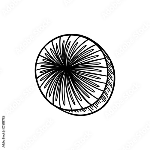 Round chocolate candy. Vector illustration isolated on white background. Black and white sketched style.