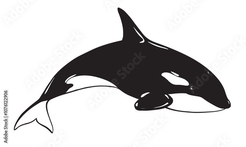 Killer whale sea animal vector logo. Stylized illustration of Orca. Killer whale or toothed whale, marine predator jumping out of water with curved tail. Hand drawn, imitation of engraving technique.
