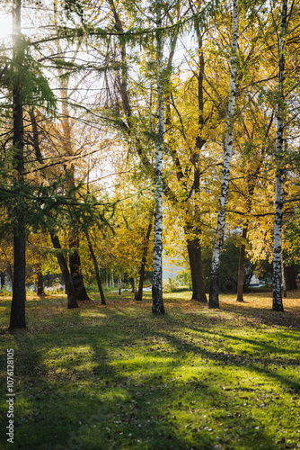 The beautiful sun shines brightly through the vibrant green leaves and sturdy branches in the park, creating a picturesque scene that is filled with natures stunning splendor and charm