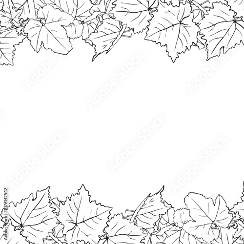 Frame of grape leaves, flower arrangement with leaves as a frame for design. Branch of grape vine with leaves.