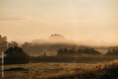 fog over the field at dawn in autumn