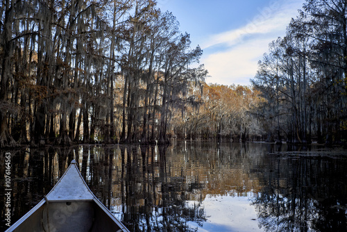 A calm Caddo lake and canoe photo