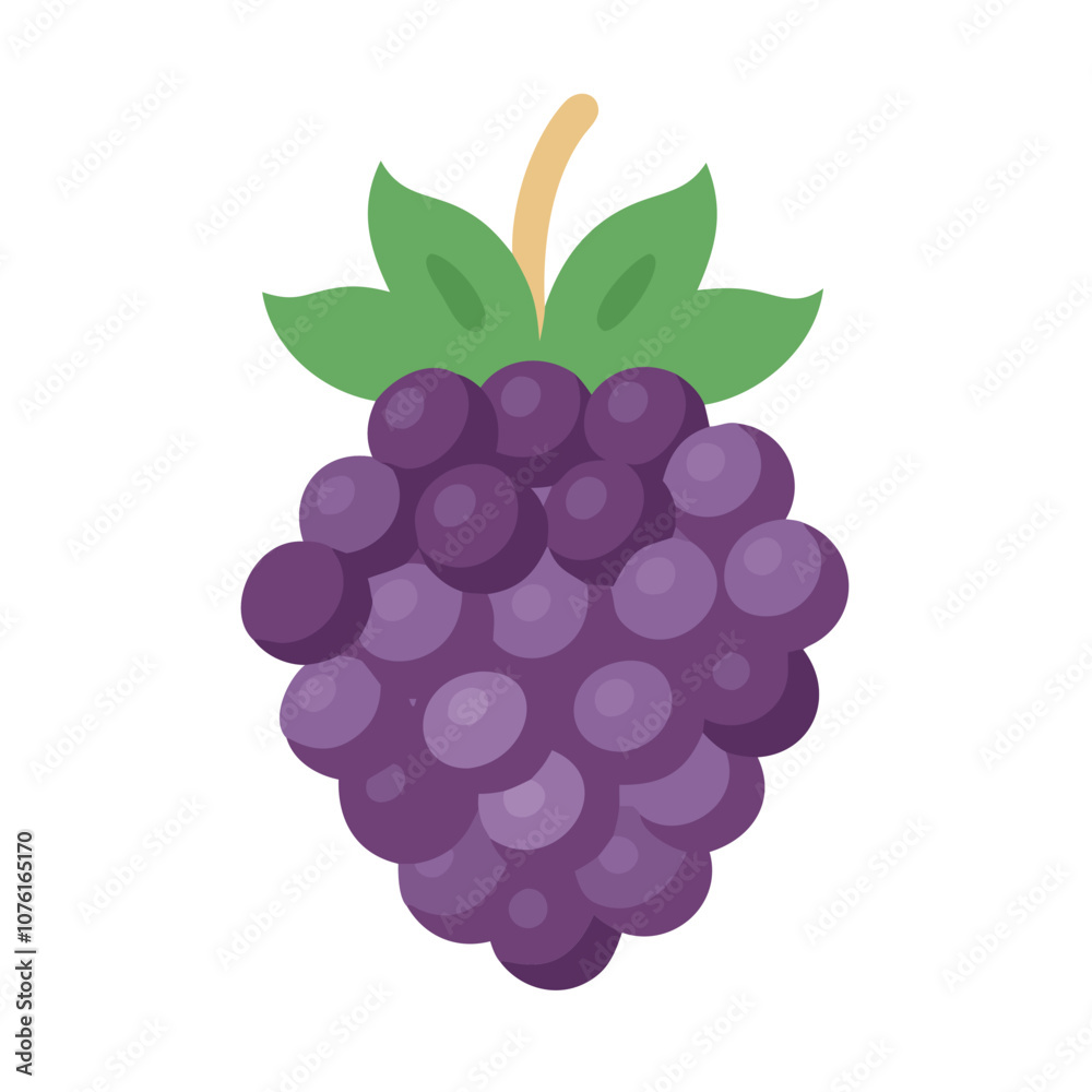 boysenberry icon, fruits vector icon - simple vector illustration of a boysenberry, in a simple and clean style, suitable for food and health themes. fruits flat illustration. boysenberry icon, fruits vector icon - simple vector illustration of a boysenberry, in a simple and clean style, suitable for food and health themes. fruits flat illustration.