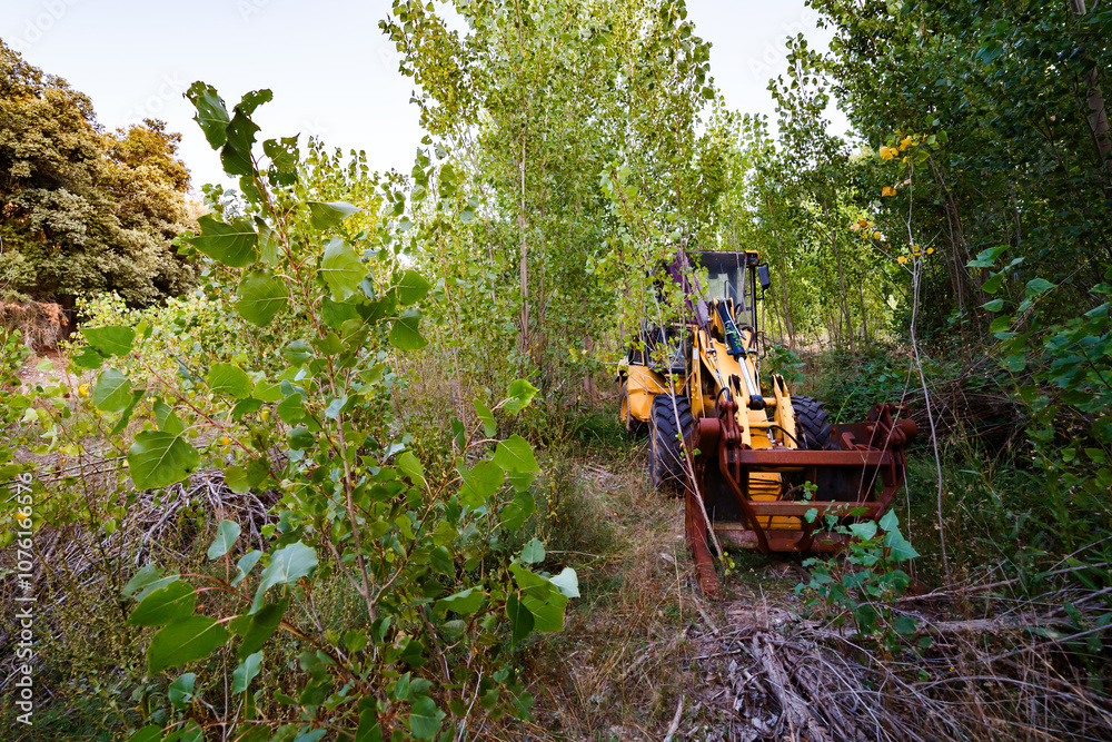 Abandoned backhoe in the forest Abandoned backhoe in the forest