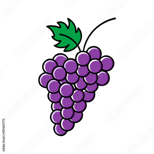 grape icon, fruits vector icon - simple vector illustration of a grape, in a simple and clean style, suitable for food and health themes. fruits flat illustration.