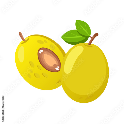 marula icon, fruits vector icon - simple vector illustration of a marula, in a simple and clean style, suitable for food and health themes. fruits flat illustration.