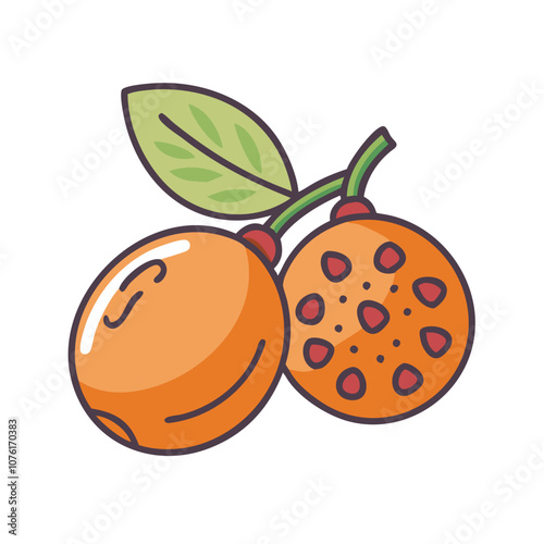 medlar icon, fruits vector icon - simple vector illustration of a medlar, in a simple and clean style, suitable for food and health themes. fruits flat illustration.