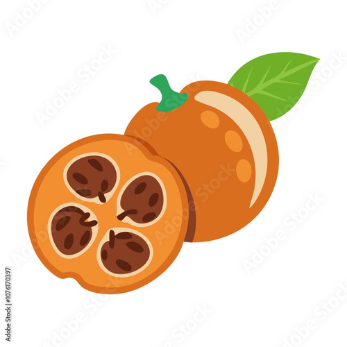 medlar icon, fruits vector icon - simple vector illustration of a medlar, in a simple and clean style, suitable for food and health themes. fruits flat illustration.