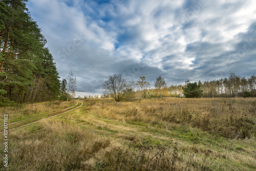 A field with a road in the middle and trees on the sides