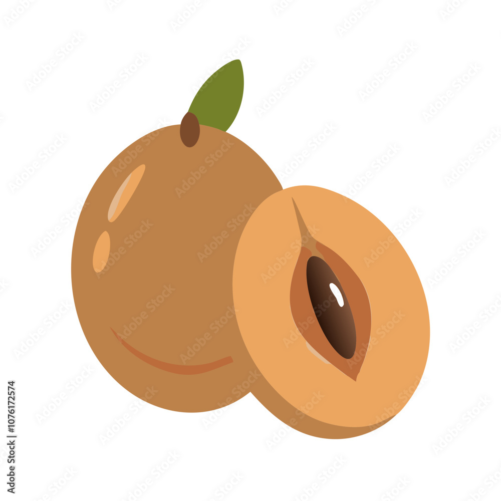 sapodilla icon, fruits vector icon - simple vector illustration of a sapodilla, in a simple and clean style, suitable for food and health themes. fruits flat illustration.