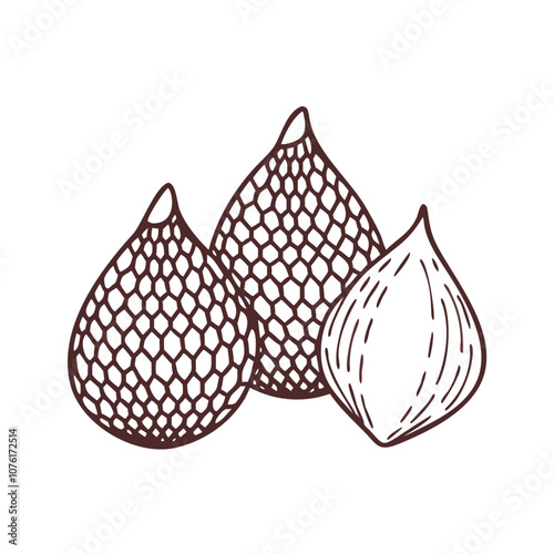 salak  snake fruit  icon, fruits vector icon - simple vector illustration of a salak  snake fruit , in a simple and clean style, suitable for food and health themes. fruits flat illustration.