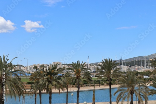 Blick in die Altstadt von Palma de Mallorca