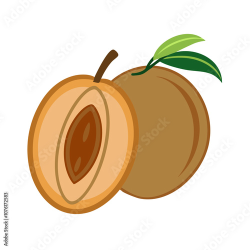 sapodilla icon, fruits vector icon - simple vector illustration of a sapodilla, in a simple and clean style, suitable for food and health themes. fruits flat illustration.