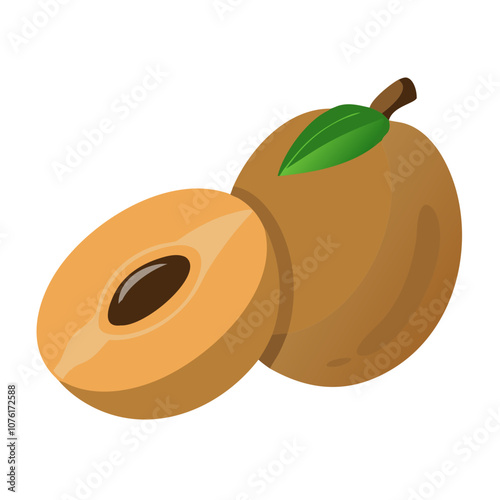 sapodilla icon, fruits vector icon - simple vector illustration of a sapodilla, in a simple and clean style, suitable for food and health themes. fruits flat illustration.