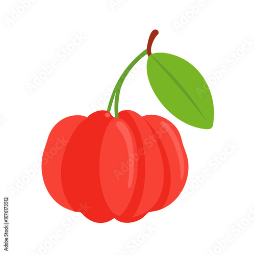 Vibrant Red Acerola Cherry Fruit Vector Illustration with Green Leaf and Stem, Perfect for Healthy Food, Juice, or Vitamin C Product Packaging Designs