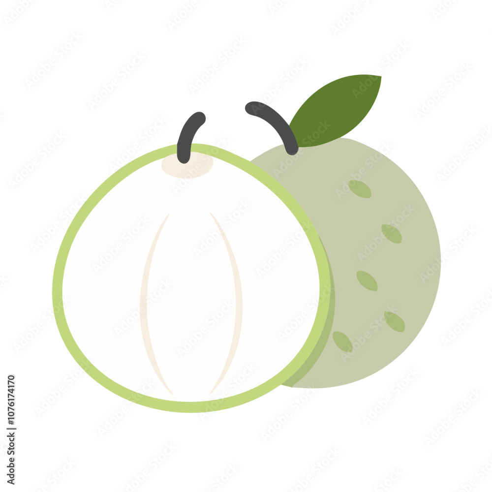 white sapote icon, fruits vector icon - simple vector illustration of a white sapote, in a simple and clean style, suitable for food and health themes. fruits flat illustration. white sapote icon, fruits vector icon - simple vector illustration of a white sapote, in a simple and clean style, suitable for food and health themes. fruits flat illustration.