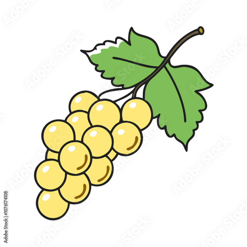 whitecurrant icon, fruits vector icon - simple vector illustration of a whitecurrant, in a simple and clean style, suitable for food and health themes. fruits flat illustration.