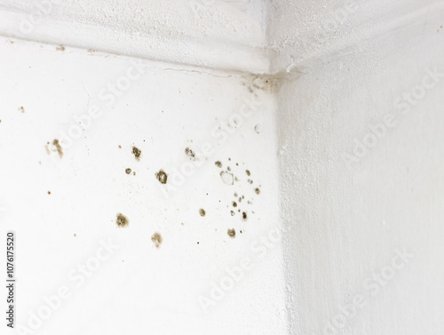A white wall with a white corner and a black spot