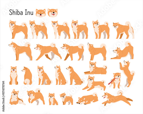 shiba-inA collection of various Shiba Inu movements. Dog character in simple flat design style illustrations.u