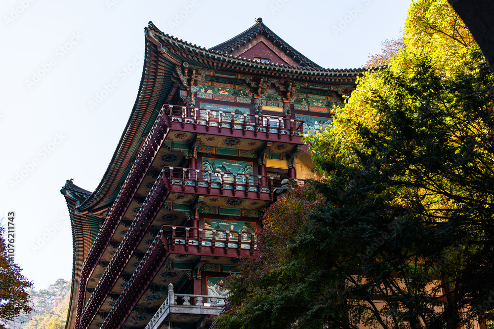 Fototapeta premium autumn trees and Buddhist temple building