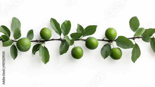 Wallpaper Mural Explore the vibrant beauty of green apples hanging gracefully from lush branches in nature Torontodigital.ca