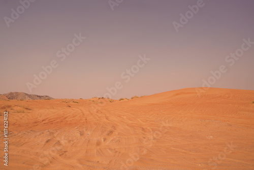 Fototapeta Naklejka Na Ścianę i Meble -  sand dunes in the desert