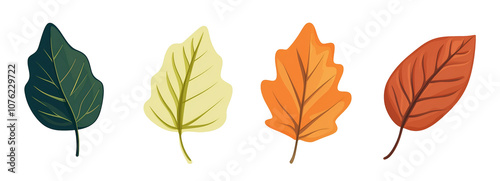 Collection set of colorful autumn leaves in watercolor style isolated on transparent or white background, png