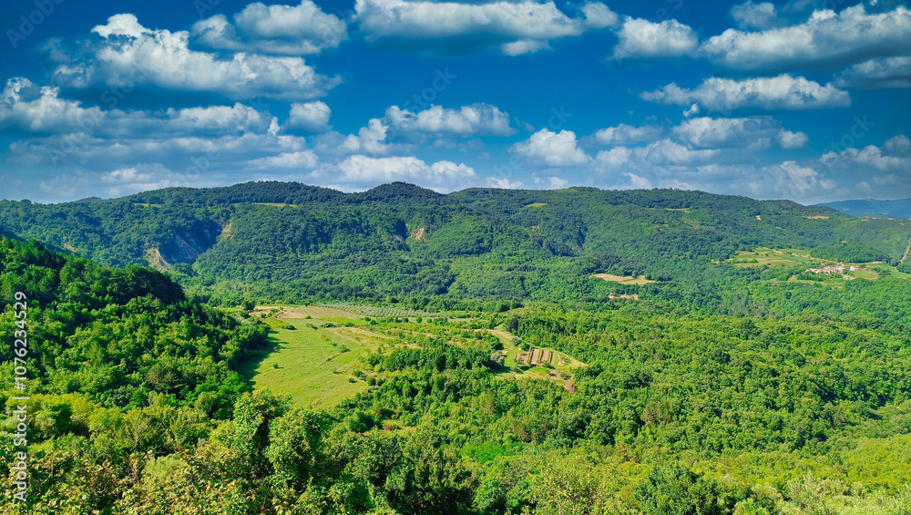 Typical Istrian Landscape