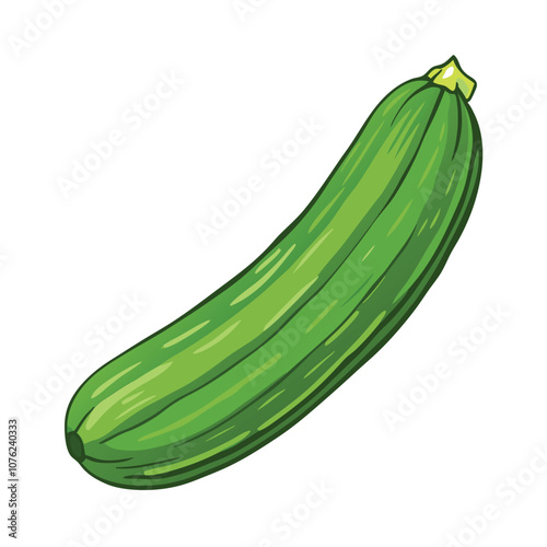 Vector Cartoon Dark Green Zucchini illustration